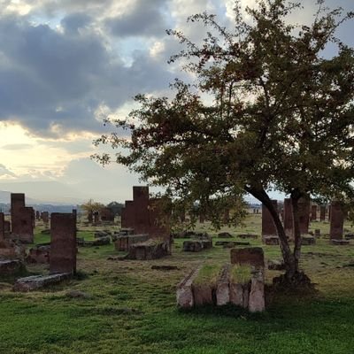 aragoncb's profile picture. 