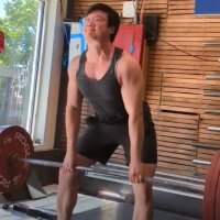 Vincent Liew (@dysfunctorial) 's Twitter Profile