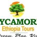 Sycamore Ethiopia Tours (@SycamoreTravel) Twitter profile photo