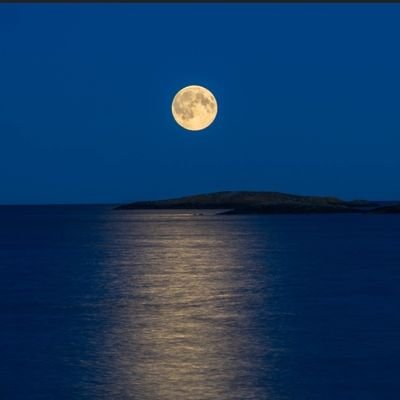 mobilikum's profile picture. Logic and reason, even when it is difficult or unpopular. Engineer at Oculus. Ex-Google, Ex-Uber, Ex-Twitter, Ex-Microsoft. LSU Alum. Geaux Tigers.