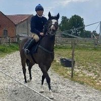 Frank Geelen (@beursduivelfan) 's Twitter Profile Photo