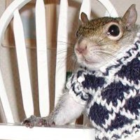 e (@pinkishfic) 's Twitter Profile Photo