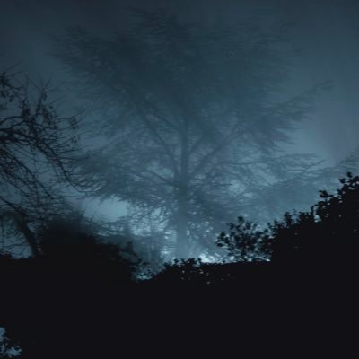 AlexXBT's profile picture. lawyer / btc og