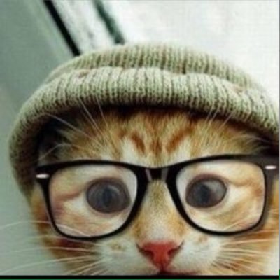 Inuyamsha's profile picture. 