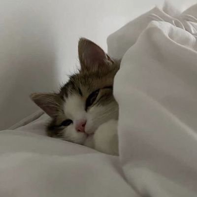 MBilli1234's profile picture. 