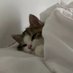 Mano Billi (@mbilli1234) Twitter profile photo Mano Billi (@mbilli1234) Twitter profile photo