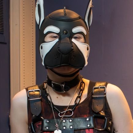 Dumb puppyboy | 19 | SHARP skinhead Punk | NSFW creator & artist | Petplay, gasmasks, & leather!
  MDNI | No bigots, TERFs, tories or far-right allowed.