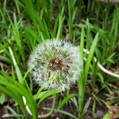 TimesEvolving's profile picture. 