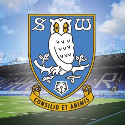 🦉 SWFC #ChansriOut