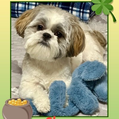 JoePriebs92940's profile picture. 