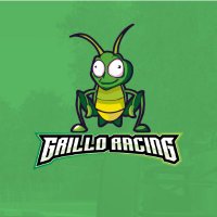 Grillo Racing(@grillo_racing) 's Twitter Profile Photo