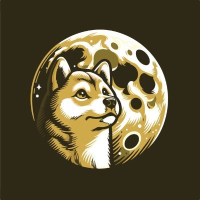 DogeMoonERC20 Profile Picture