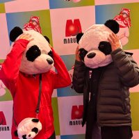 まあぼー🦥🐰ྀི🍒🍅🍀 (@three_king_doms) 's Twitter Profile
