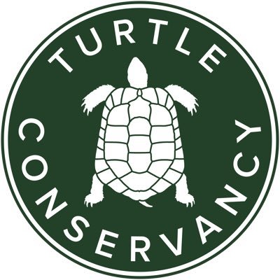 Dedicated to protecting threatened turtles and tortoises and their habitats worldwide, and to promoting their appreciation by people everywhere.
