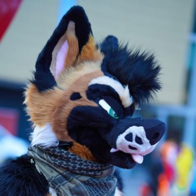 RadarShep Profile Picture