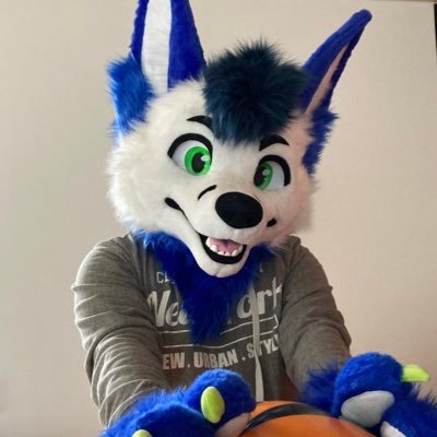 Just a Blue Fox, Sometimes A Kangaroo and a Chipmunk (Fursuit made by FurTheWin).  Busdriver 🚌. likes in Plushies, Inflatables ,Cars and Racing.