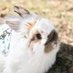 ♨️とも@🐰 😅キャンプ🏕️とサウナ中 (@to0427mo7759) Twitter profile photo ♨️とも@🐰 😅キャンプ🏕️とサウナ中 (@to0427mo7759) Twitter profile photo