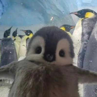 andrianasugar's profile picture. 