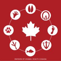 Canadian Animal Health Surveillance System 🇨🇦 (@cahsscanada) 's Twitter Profile Photo Canadian Animal Health Surveillance System 🇨🇦 (@cahsscanada) 's Twitter Profile Photo