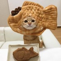 크레미 🕯 (@lool7974) 's Twitter Profile