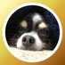 ããããããã (@yuyake_sard) Twitter profile photo ããããããã (@yuyake_sard) Twitter profile photo