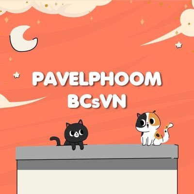 BabeCats support @pavelphoom from Viet Nam🇻🇳#pavelphoom #BabeCats 🐾 SNS Pavel list: https://t.co/plo0DFc9rl