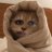 alesagit's profile image