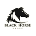 Black Horse (@djdjsjjxc) Twitter profile photo