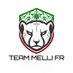 Team Melli FR 🇮🇷🐆 (@teammellifr) Twitter profile photo