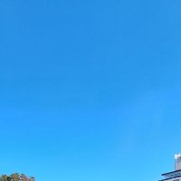 緑茶 (@4kjkzig7mw1hxpi) 's Twitter Profile Photo