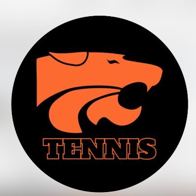 Palmyra_Tennis Profile Picture