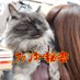 ファンキー秘書ฅ•ω•ฅ @モフ鉄𝒩𝑜.744 (@mi10461) Twitter profile photo ファンキー秘書ฅ•ω•ฅ @モフ鉄𝒩𝑜.744 (@mi10461) Twitter profile photo