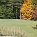 '64Spider (@indygolf4) Twitter profile photo '64Spider (@indygolf4) Twitter profile photo