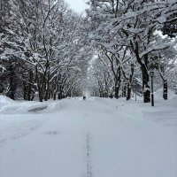 l (@cwvszvqsamvtdft) Twitter profile photo