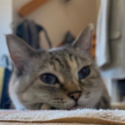 ha_sho_11_22's profile picture. agu スタバptr