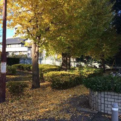 ytyt48's profile picture. 有益情報発信します