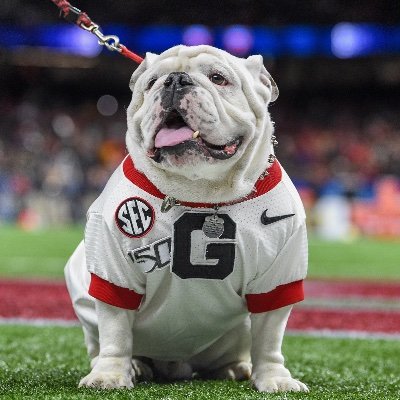 GO DAWGS! From Athens, GA. Football is my #1 mindset, and the ole Bulldogs are my beacon of life.  KEEP CHOPPIN’ !!!