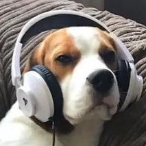 rhrsbfnrgevr's profile picture. 4B