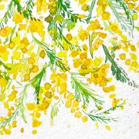 𝘶𝘴𝘩𝘪𝘰 (@mns_040) Twitter profile photo