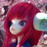 こはく (@amber_0813) 's Twitter Profile Photo