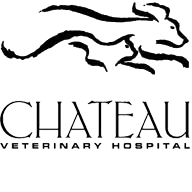 ChateauVet's profile picture. 