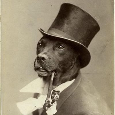 mtn8ve's profile picture. MT native chargers fan since Dec 28, 2008 (52-21 over broncos).⚡️⚡️⚡️
Firefighter. EMT. 🔥🔥🔥
VGK. ✨️✨️✨️