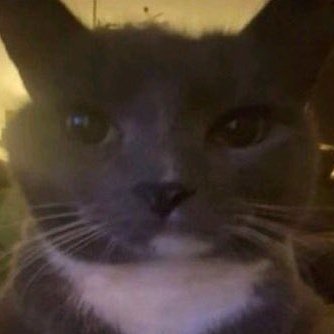 Hi this is a secret acc of @HyperdriveNeon this is the place where i talk about personal stuff and shit
(May have suggestive likes and topics)