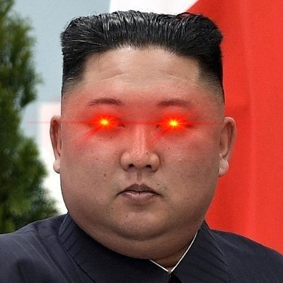 SUPREME LEADER OF Democratic People's Republic of KIMS. (PARODY) .Part time Degen Trader and a DEV ,SUPREME Funding Into the Space. $KIMS