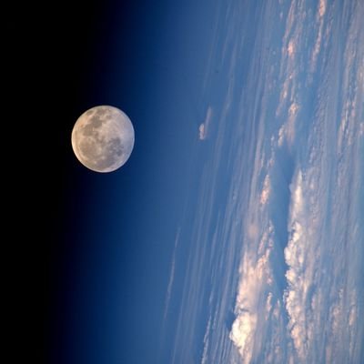 Redun280359711's profile picture. N/A