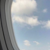 lady_preneur (@linkupppppppppp) 's Twitter Profile