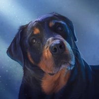 maeLstro (@prossemael) 's Twitter Profile