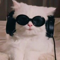 Tanvii🍒 (@stvrlightt_ts) 's Twitter Profile
