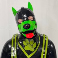 Sollux (@solluxthepup) 's Twitter Profile