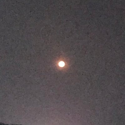 vibrant_rhoda's profile picture. 🦋💙writer, and changemaker.